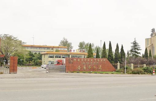 河南东方正大饲料粉尘检测